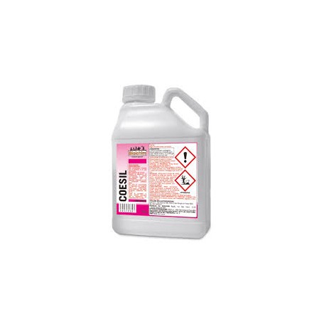 COESIL Bagnante Adesivante Biolchim 1 lt