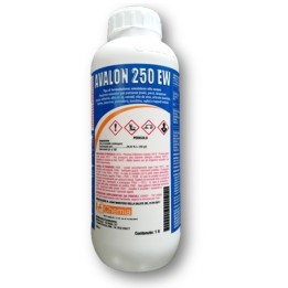 Avalon EW Ticchiolatura...