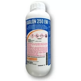 Avalon EW Ticchiolatura...