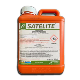 Satellite (Boom Efekt)...