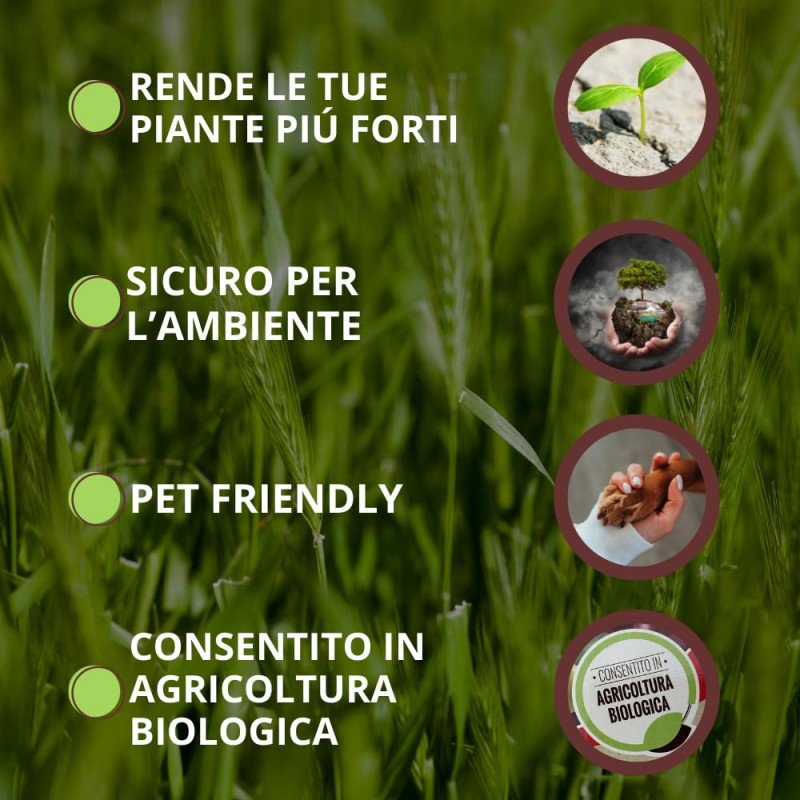 Vithal Vithal Insetticida Bio Olio Di Neem Afidi 250ml
