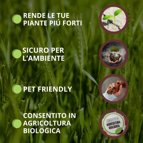 Vithal Insetticida Bio Olio Di Neem Afidi 250ml
