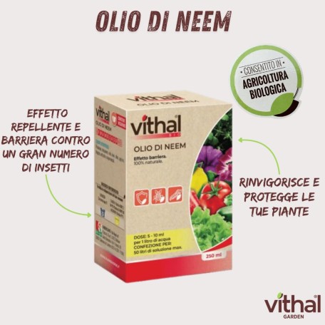 Vithal Insetticida Bio Olio Di Neem Afidi 250ml