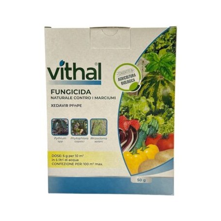 Fungicida Per Prato Vithal Xedavir PFnPE Malattie Radicali 50g