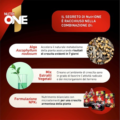 NutriONE Valagro Concime Per Tutte Le Piante Concentrato Liquido Universale 1L