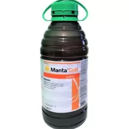 Manta Gold Syngenta...