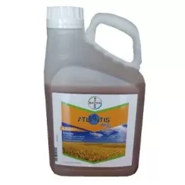 Atlantis Pro Bayer...