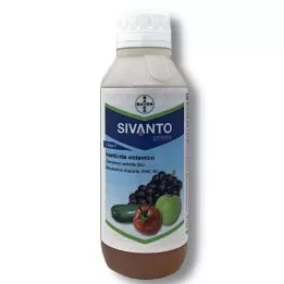 Sivanto Prime Bayer...