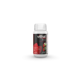 Vithal Expert Epik SL...