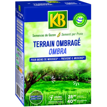 KB Semi per Prato Ombra 1 Kg KB Semi per Prato Ombra 1 Kg