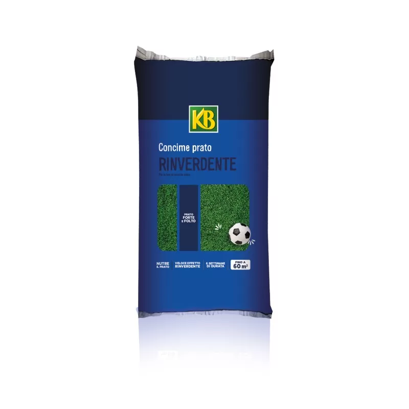 KB Evergreen Rinverdente 5kg per prato