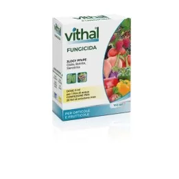 Vithal 3Logy PFnPE...