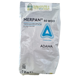 MERPAN 80 WDG (Captain) a...
