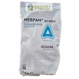 MERPAN 80 WDG (Captain) a...