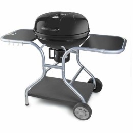 Barbecue Portable Fieldmann...