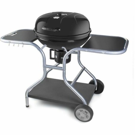 Barbecue Portable Fieldmann FZG 1014 Métal Acier