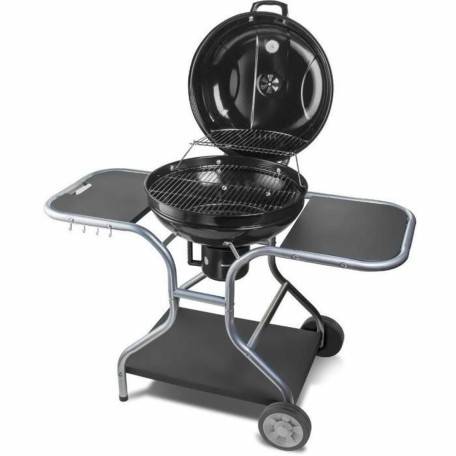 Barbecue Portable Fieldmann FZG 1014 Métal Acier