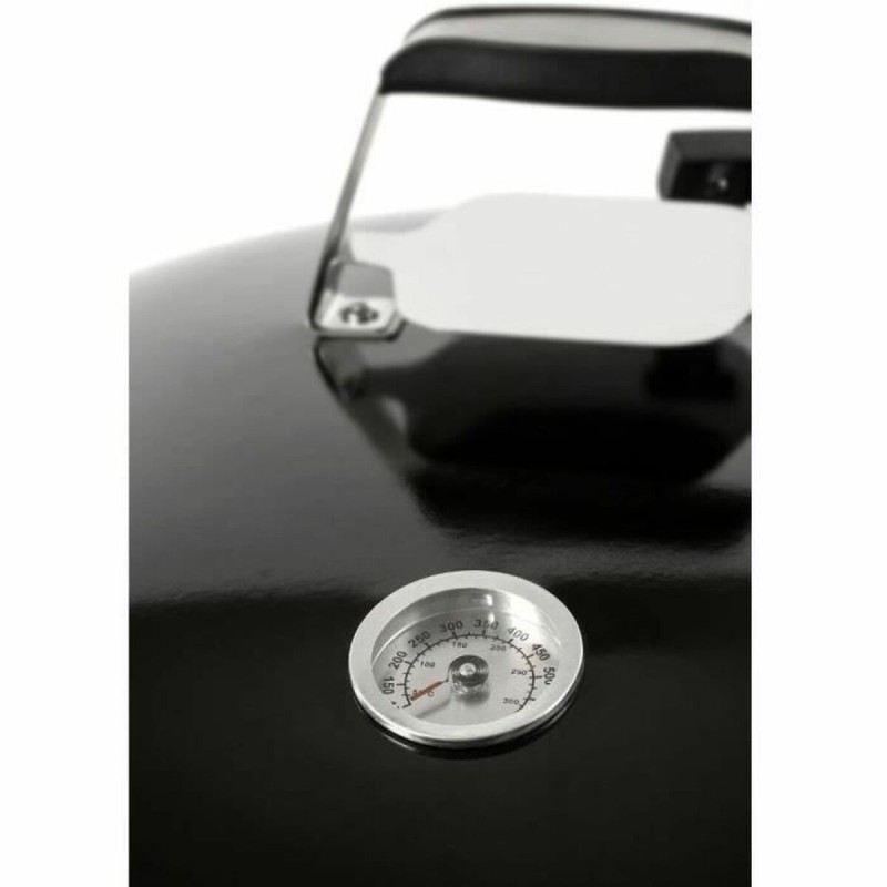 Fieldmann Barbecue Portable Fieldmann FZG 1016 Métal Acier