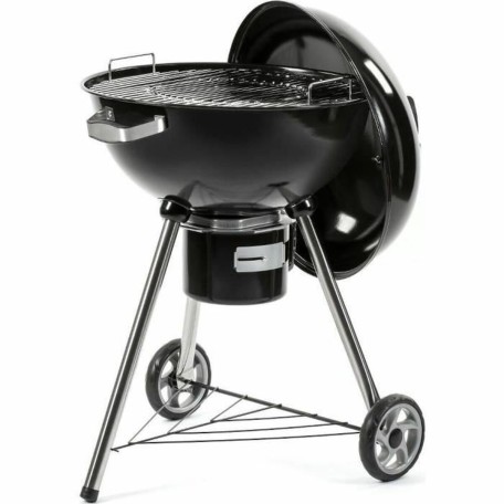 Barbecue Portable Fieldmann FZG 1016 Métal Acier