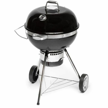 Barbecue Portable Fieldmann FZG 1017 Métal Acier