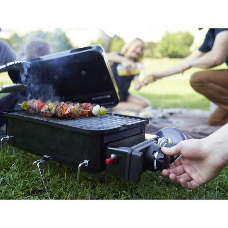 Weber Barbecue Weber Go-anywhere Acier émaillé