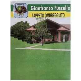 Semi Prato Terreno...