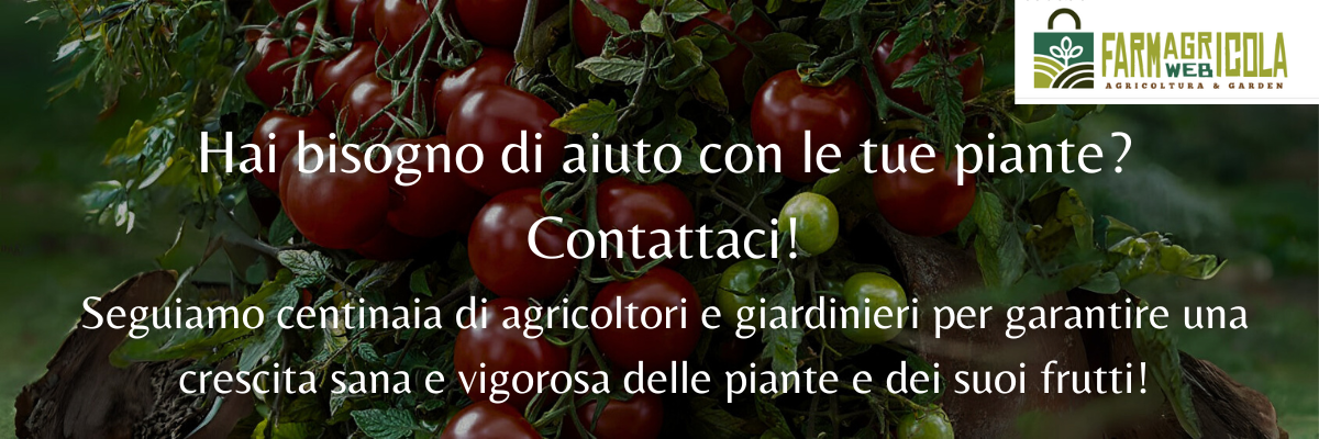 concime per pomodori