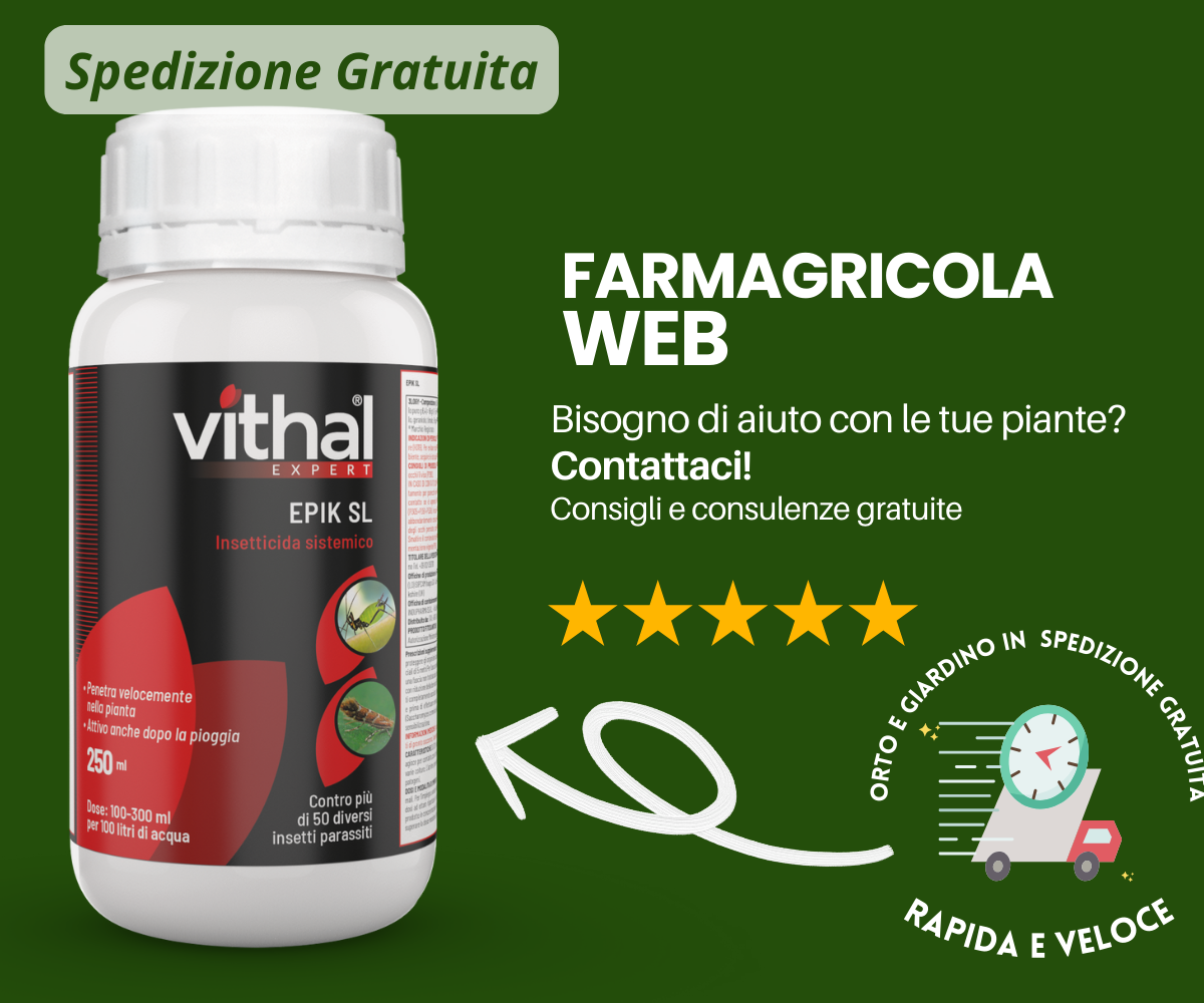 insetticida antiparassitario