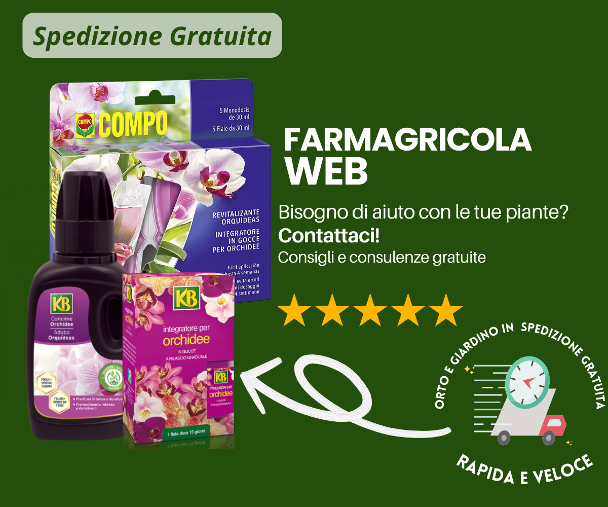 concime per orchidee