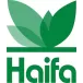 Haifa