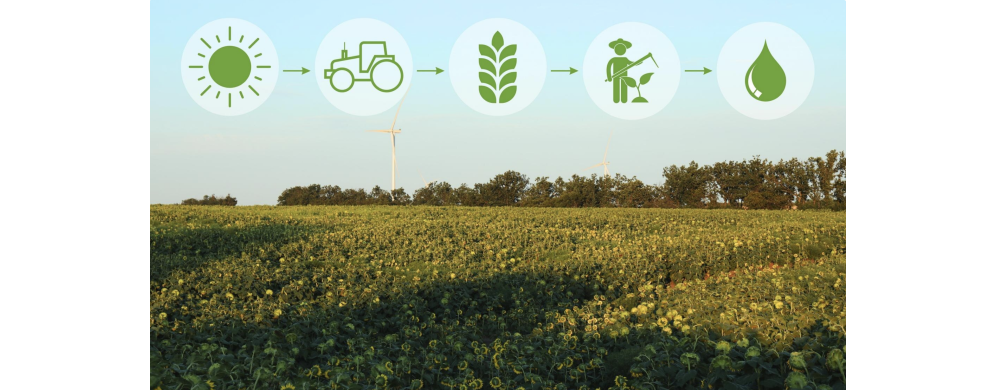 Agricoltura biologica e biodinamica: differenze, punti in comune e vantaggi