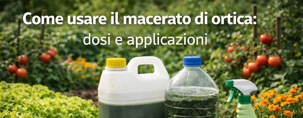Come usare il macerato di ortica: dosi e applicazioni