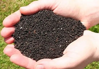 Concime organico: come sceglierlo e usarlo correttamente Concime organico: come sceglierlo e usarlo correttamente
