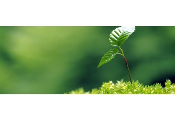 Agricoltura biologica: tecniche, vantaggi e prodotti da usare Agricoltura biologica: tecniche, vantaggi e prodotti da usare