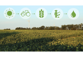 Agricoltura biologica e biodinamica: differenze, punti in comune e vantaggi