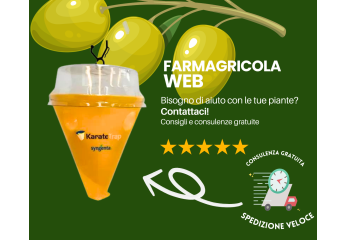 Mosca dell'olivo: guida completa alla difesa degli ulivi