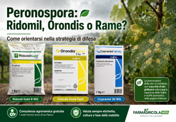 Ridomil o Orondis: quando valutare un fungicida specifico contro peronospora