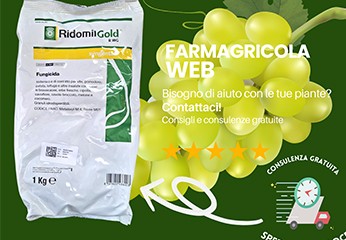 Ridomil gold: il miglior fungicida per la peronospora vite