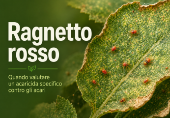 Vertimec o Clavitus: quando valutare un acaricida specifico contro gli acari