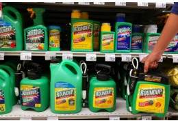 Glifosate: Bayer perde la terza causa contro una coppia che si è ammalata di cancro