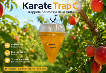 Karate Trap C: quando usarla contro la mosca della frutta e come scegliere la trappola giusta
