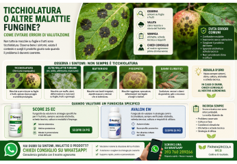 Ticchiolatura o altre malattie fungine? Come evitare errori di valutazione