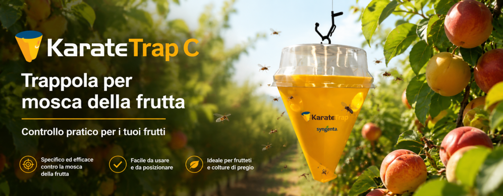 Karate Trap C: quando usarla contro la mosca della frutta e come scegliere la trappola giusta